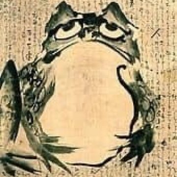 על צפרדעים יפניות ולא רק